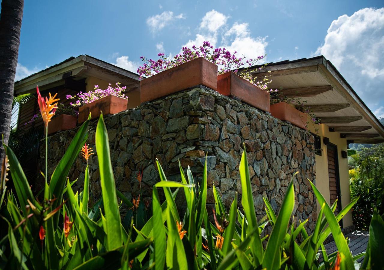 Gardenia Springs Hotel Buritaca Eksteriør billede